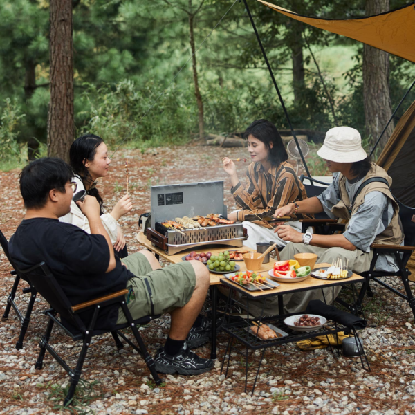 Naturehike Serie-Moyan parrilla de barbacoa plegable, quemador de carbón portátil ligero para acampar, Picnic al aire libre, a la mesa, caja de estufa de cocina