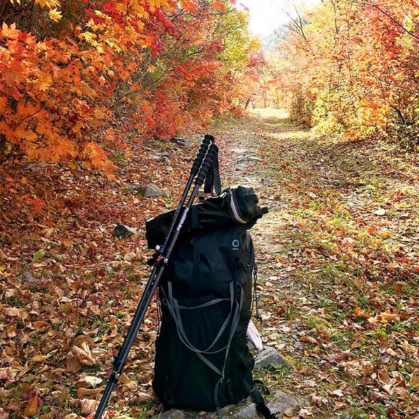 Naturehike  Serie-ST10 bastón de trekking de fibra de carbono ultraligero para exteriores, 3 secciones, portátil,