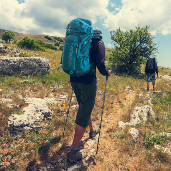 Naturehike  Serie-ST10 bastón de trekking de fibra de carbono ultraligero para exteriores, 3 secciones, portátil,