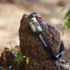 Naturehike Serie-Xingyu Faro de cabeza delantero ultraligero para acampada, linterna de 5 modos, luz roja de emergencia SOS, portátil, resistente al agua IP65