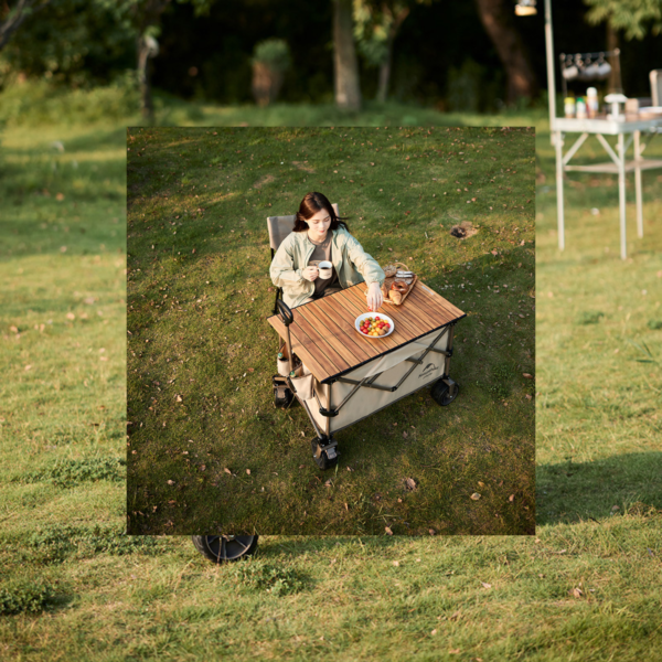 Naturehike Serie-TC03 carrito plegable de gran capacidad, Con rueda frena,  carretilla portátil de gran capacidad de carga de 120Kg, cuatro ruedas, para acampar, Picnic